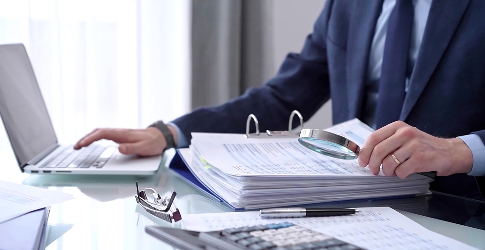 IRS audit support